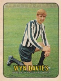 Wyn Davies